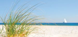 Beach Grass with sand and the waves in the background