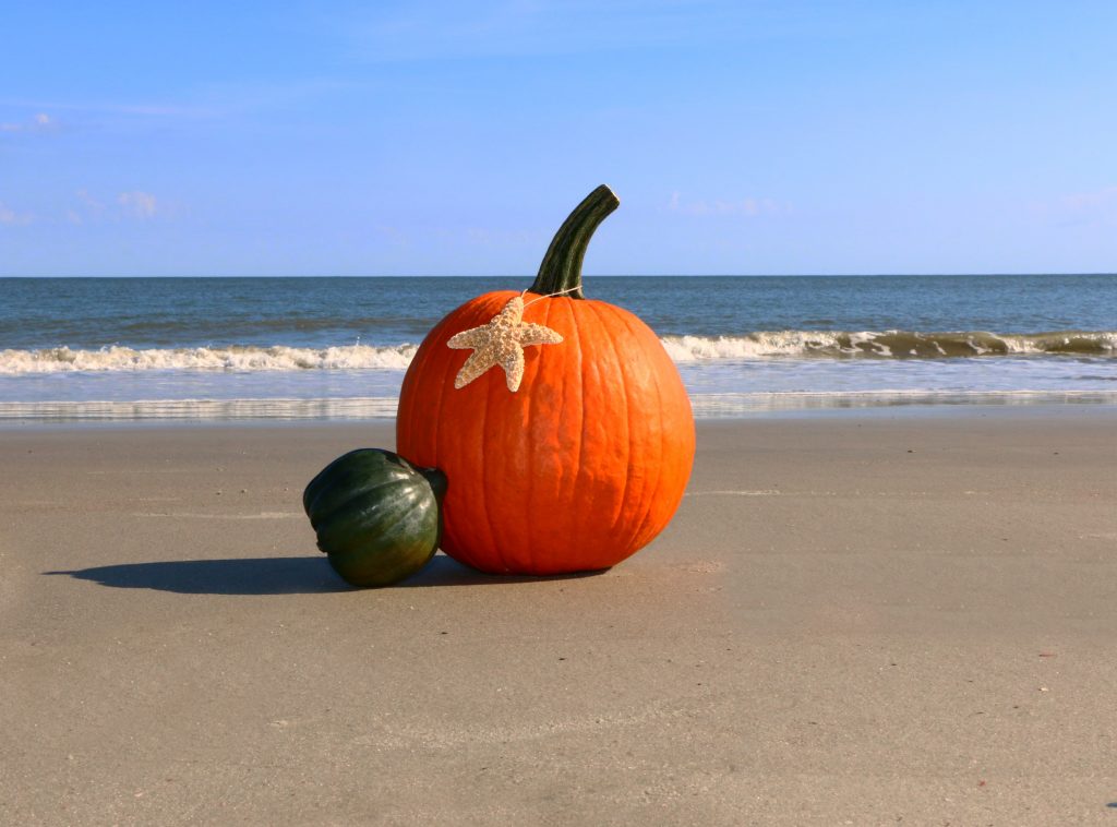 Visit Ocean City, Maryland this Fall! Hileman Real Estate