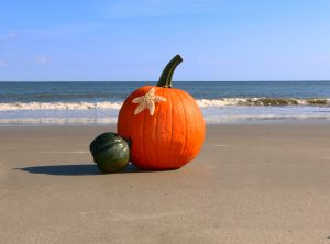 Pumpkin and green gourd on the beach