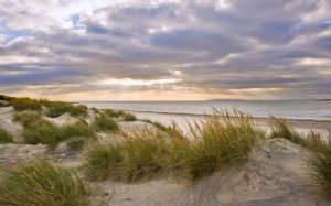 Dunes at the beach during the winter