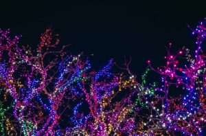 Christmas lights against a black sky