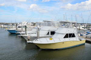 Boats lined up in a marina