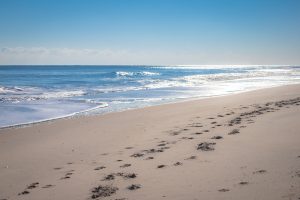 Clean Sand Beach Meet Clam Tropical Ocean With Small Waves And Some Of Foot Trail On Sand On Sunny Day In Summer Ocean City, Maryland Usa