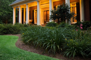 House with nice landscaping and porch light